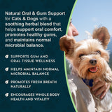 Healthy Gums oral-support graphic with gum-wellness and fresh-breath callouts beside a person holding a Yorkshire terrier.