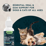 Healthy Gums bottle beside a tabby cat and reclining Yorkshire terrier, beneath an oral and gum-support message.