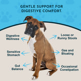 Seated boxer dog surrounded by Healthy Gut graphic callouts for digestive wellness, gut balance and common digestive concerns.