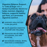 Healthy Gut digestive-balance graphic with gut-flora and digestive-comfort callouts beside a boxer and its owner.