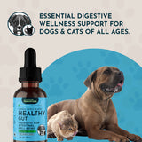 Healthy Gut bottle beside a reclining dog and cat, beneath a digestive-wellness support message.