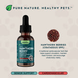 Hawthorn Berry Herbal Tonic bottle beside labeled hawthorn berries and text about the herb.