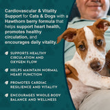 Person holding a brown and white dog beside Hawthorn Berry messaging about heart health, circulation and vitality.
