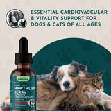 Hawthorn Berry dropper bottle beside a dog cuddling a long-haired tabby cat, under cardiovascular-and-vitality messaging.