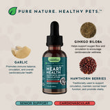 Heart Health herbal tonic bottle with illustrated garlic, ginkgo biloba and hawthorn berry ingredients.
