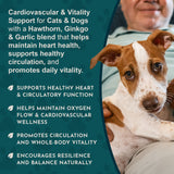 Person holding a brown-and-white dog beside Heart Health cardiovascular and vitality support messaging.