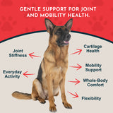 German shepherd surrounded by Joint Support callouts about mobility, cartilage, flexibility and joint comfort.