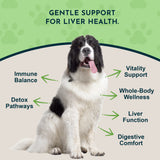 Black-and-white dog surrounded by Liver Defense callouts about liver function, detox pathways and digestive comfort.