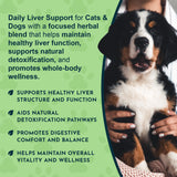 Person holding a tricolor puppy beside Liver Defense liver-function and detoxification support messaging.