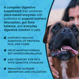 Plant Enzyme & Probiotic digestive-support benefits beside a Boxer and pet parent.