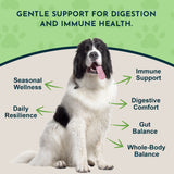 Black and white dog surrounded by Olive Leaf graphic callouts about immune support, digestive comfort, resilience and wellness.