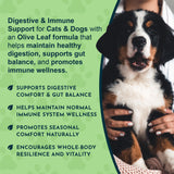 Person holding a tricolor puppy beside Olive Leaf messaging about digestion, gut balance and immune wellness.