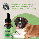 Olive Leaf dropper bottle beside a large brown and white dog and a kitten, under digestive-and-immune-support messaging.