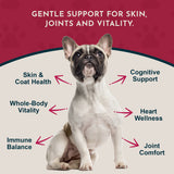 French bulldog surrounded by Sea-Omega callouts about skin and coat, joint comfort, heart wellness and vitality.
