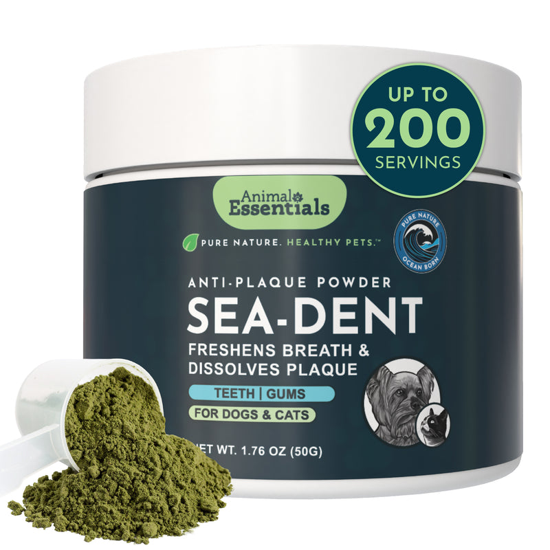 Animal Essentials Sea-Dent anti-plaque powder, 50 g jar with a white scoop spilling green powder.