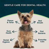 Small terrier surrounded by Sea-Dent dental-care callouts about plaque, tartar, gums, breath and oral hygiene.