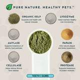 Scoop of green Sea-Dent powder surrounded by labeled kelp and enzyme ingredients.