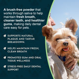 Person holding a small terrier beside Sea-Dent powder messaging about breath, plaque, gums and daily dental care.