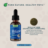 Skullcap bottle alongside dried skullcap herb and an ingredient description.