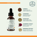 UT-Grav ingredient graphic with a bottle and labeled cornsilk, hydrangea, stone root, cranberry extract and marshmallow root.