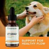 UT-Grav bottle in front of a corgi being petted outdoors, with a healthy-flow support message.