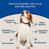 Beagle surrounded by Valerian graphic callouts about occasional stress, relaxation, sleep, separation comfort and restlessness.