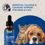 Valerian dropper bottle beside a tabby kitten and resting beagle, under calming-and-comfort-support messaging.