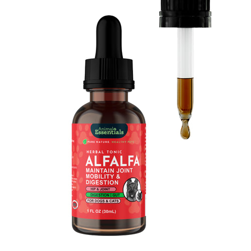 Alfalfa Single Herb Tonic | Maintain Joint Mobility & Digestion