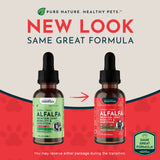 Alfalfa Single Herb Tonic | Maintain Joint Mobility & Digestion