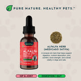 Alfalfa Single Herb Tonic | Maintain Joint Mobility & Digestion