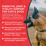 Alfalfa Single Herb Tonic | Maintain Joint Mobility & Digestion