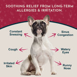 Seasonal Allergy Limited Release Holiday Soft Chews | Herbal Allergy Formula | 20 Count