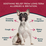 Seasonal Allergy Herbal Soft Chews | Herbal Allergy Support Formula | 60 Count