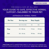 Astragalus Single Herbal Tonic | Supports Immune & Kidney Function