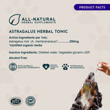 Astragalus Single Herbal Tonic | Supports Immune & Kidney Function