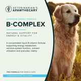 B-Complex introduction graphic with energy-and-vitality messaging beside a golden retriever sitting in sunlit grass.