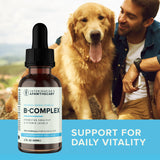 B-Complex bottle in front of a golden retriever and its owner, with a daily-vitality support message.