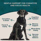 Brain Awake Herbal Tonic Blend | Supports Cognitive Function