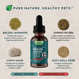 Brain Awake Herbal Tonic Blend | Supports Cognitive Function