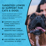 Colon Rescue Herbal Digestive Powder | Digestive Support