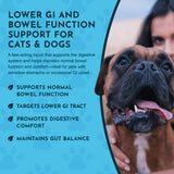 Colon Rescue Herbal Tonic | Supports Normal Bowel Function