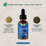 Comfort Plus Herbal Tonic Blend | Manages Discomfort & Stress