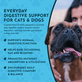 Daily Digestion Herbal Tonic Blend | Gastric Distress & Fresh Breath