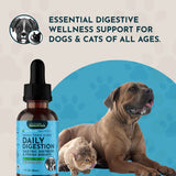 Daily Digestion Herbal Tonic Blend | Gastric Distress & Fresh Breath