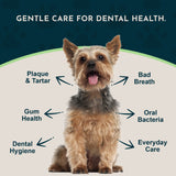 Dental Support Herbal Soft Chews | Herbal Anti-Plaque Formula | 60 Count + Free Mini Bag (20CT)