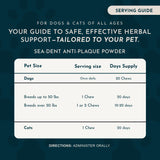 Dental Support Limited Release Holiday Soft Chews | Herbal Anti-Plaque Formula | 20 Count