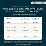 Dental Support Herbal Soft Chews | Herbal Anti-Plaque Formula | 60 Count + Free Mini Bag (20CT)