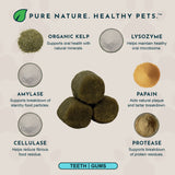 Dental Support Limited Release Holiday Soft Chews | Herbal Anti-Plaque Formula | 20 Count