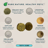 Dental Support Herbal Soft Chews | Herbal Anti-Plaque Formula | 60 Count + Free Mini Bag (20CT)