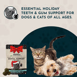 Dental Support Limited Release Holiday Soft Chews | Herbal Anti-Plaque Formula | 20 Count